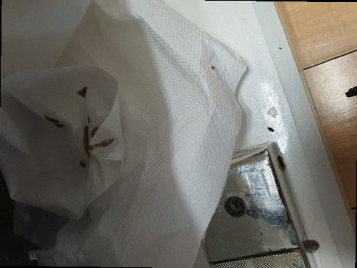 분당구 하수구막힘 백현동 하수구막힘 싱크대 거름망 청소 직접 겪어보니 원인은 따로 있었습니다