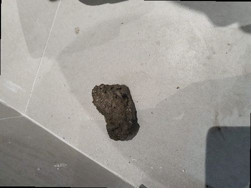 분당구 구미1동 하수구막힘 욕조 물 안빠짐 막힘을 줄이는 3단계 점검법